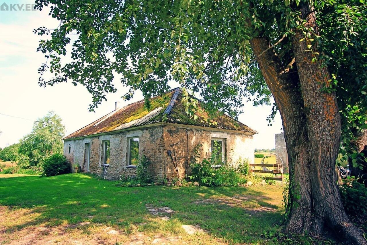 Lyuganuse B&B Rando & Kaerdi Juures Oue מראה חיצוני תמונה